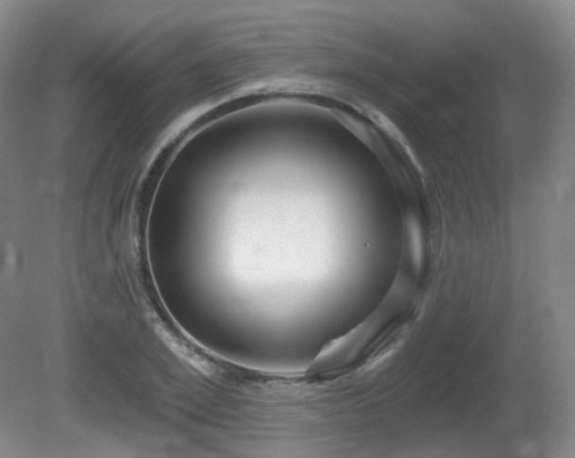 X0000081600981200701151334