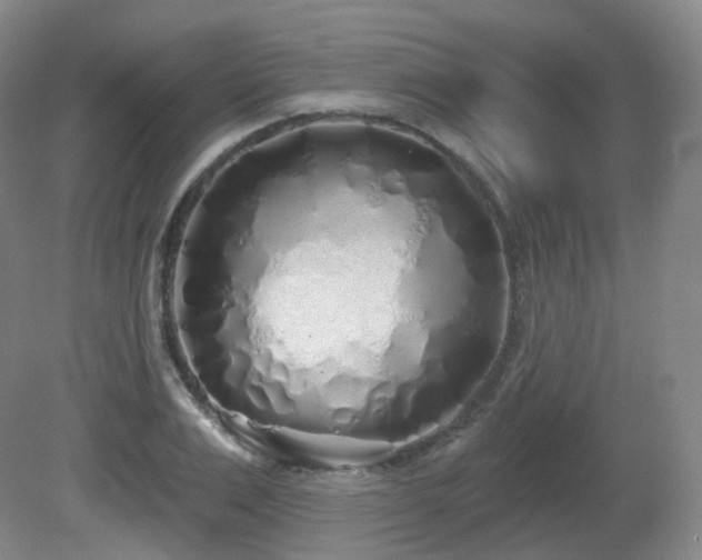 X0000081600983200701151334