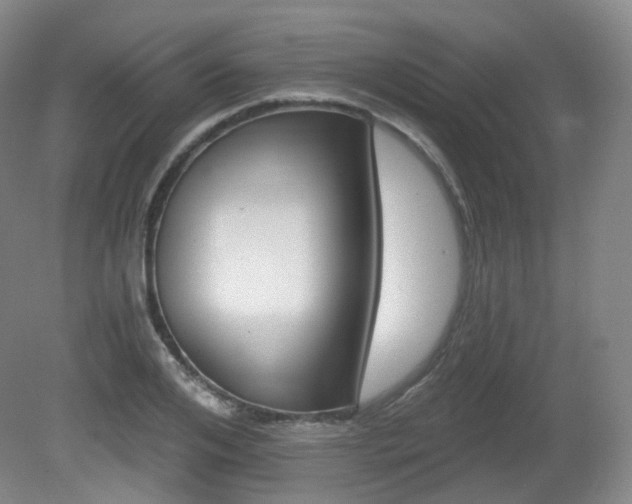 X0000081600984200701151334
