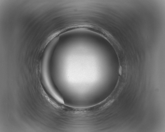 X0000081600985200701151334