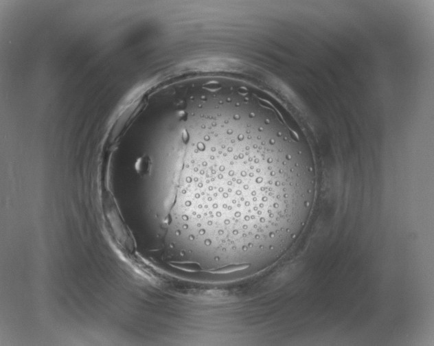 X0000081600986200701151334