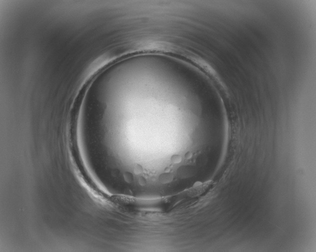 X0000081600991200701151334