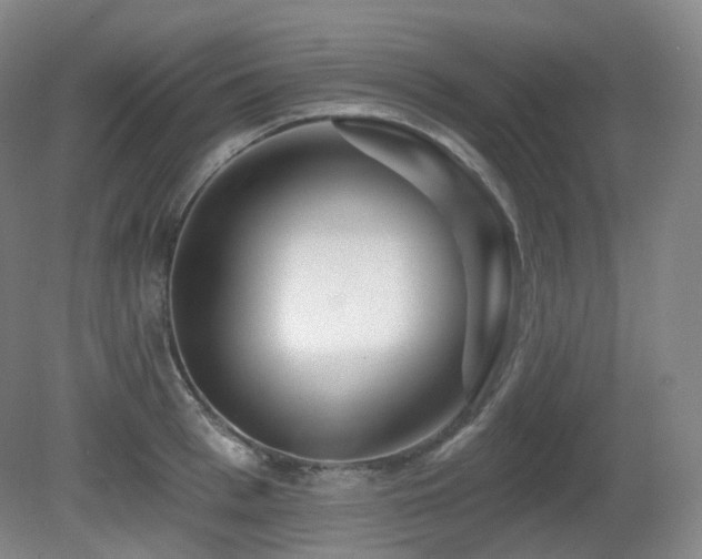 X0000081600993200701151334
