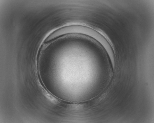 X0000081600996200701151334