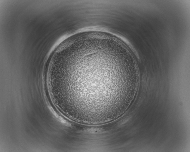 X0000081600998200701151334