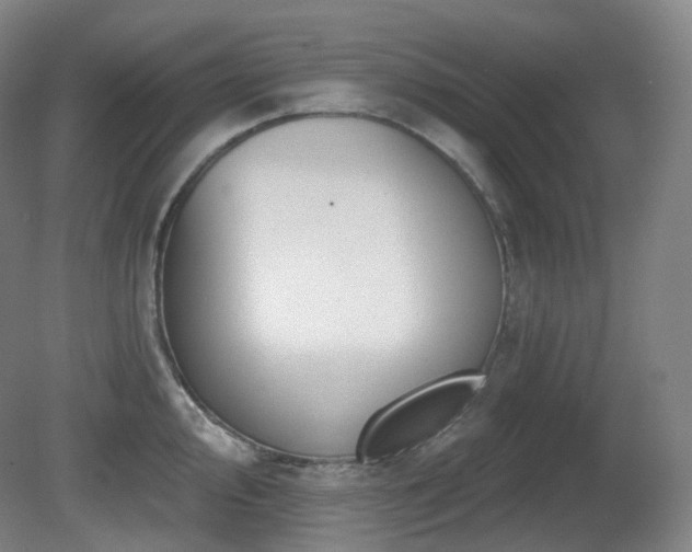 X0000081601000200701151334
