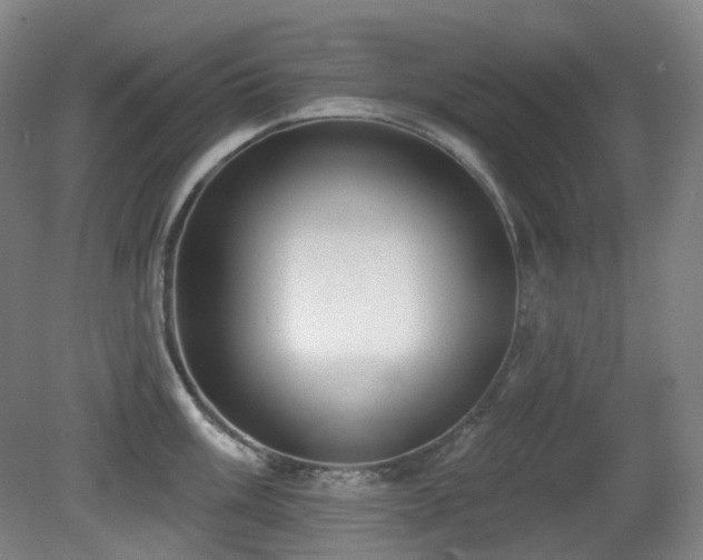 X0000081601003200701151334