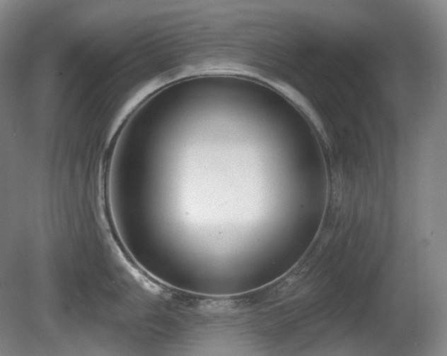 X0000081601006200701151334