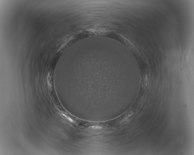 X0000081601010200701151333