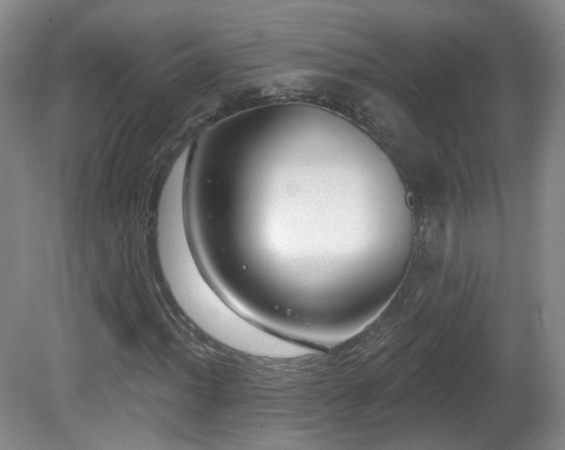 X0000081601012200701151333