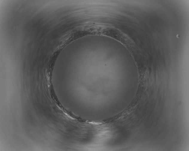 X0000081601013200701151333