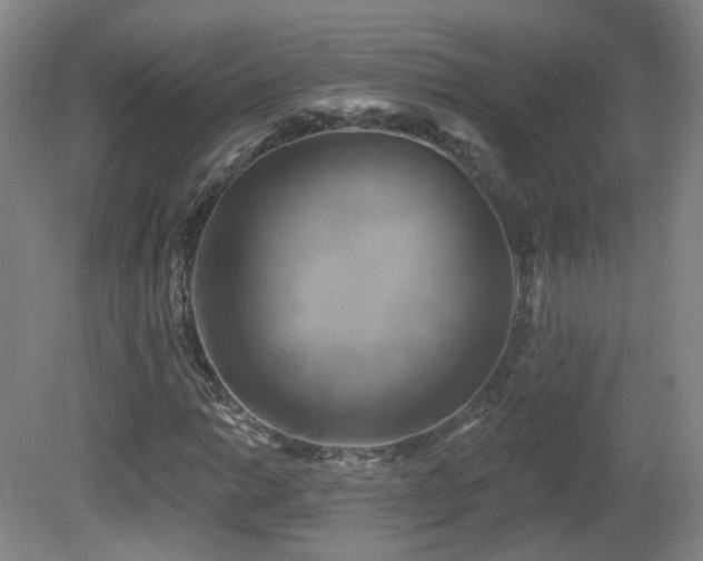 X0000081601014200701151333