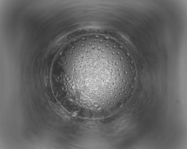 X0000081601015200701151333