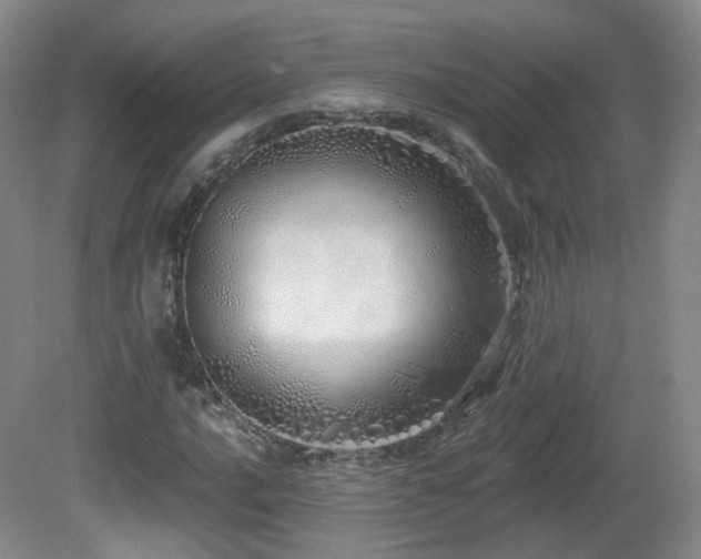X0000081601016200701151333