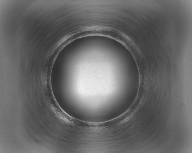 X0000081601017200701151333