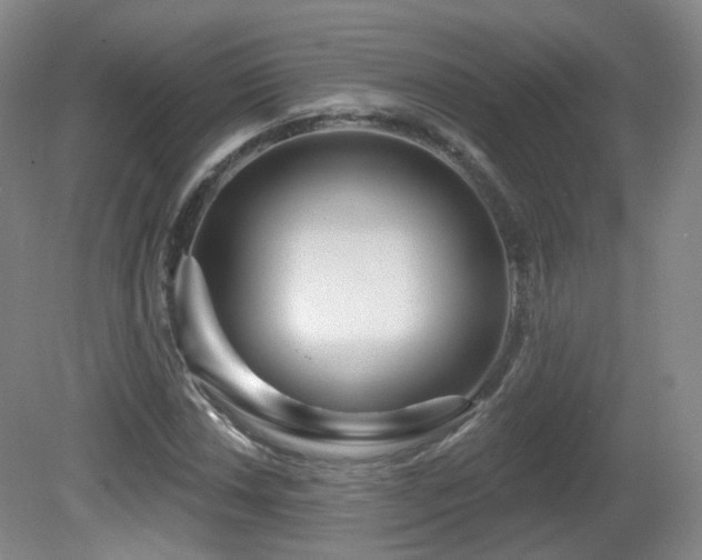 X0000081601018200701151333