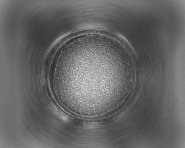 X0000081601019200701151333