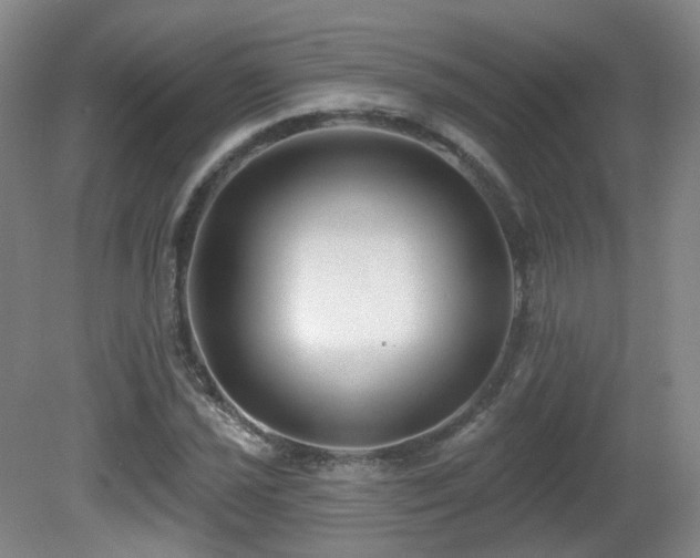 X0000081601021200701151333