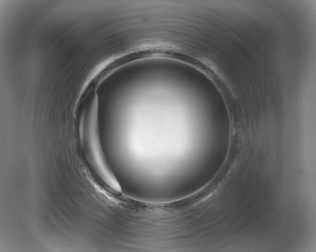 X0000081601022200701151333