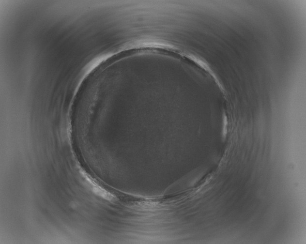 X0000081601024200701151333