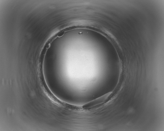 X0000081601029200701151334