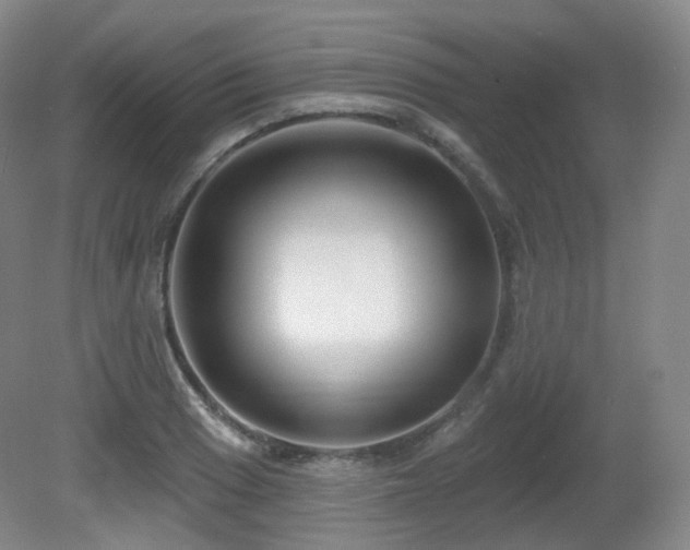 X0000081601033200701151334