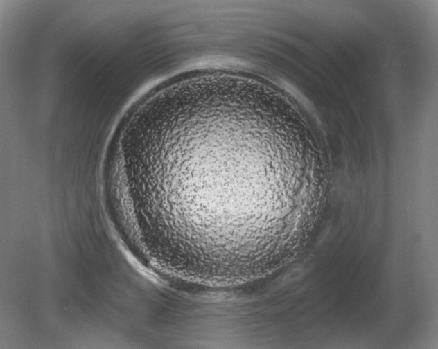 X0000081601037200701151334