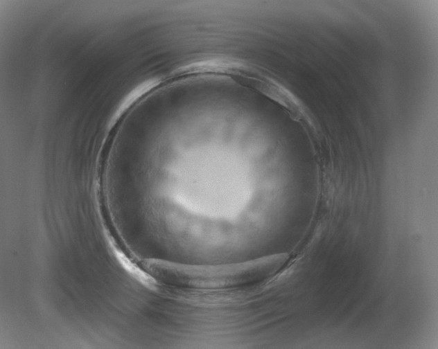 X0000081601042200701151334