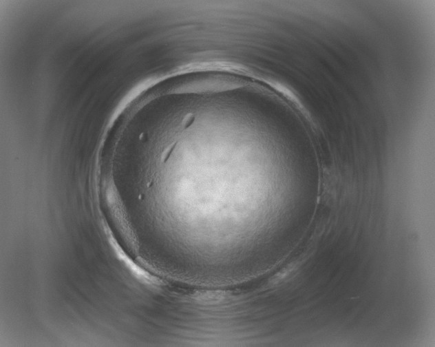 X0000081601046200701151334