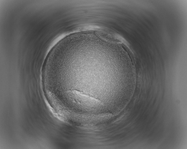 X0000081601047200701151334