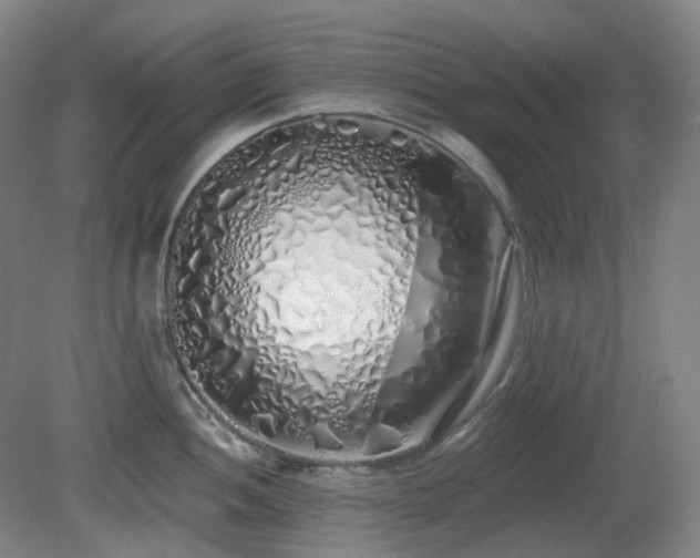 X0000081601052200701151334