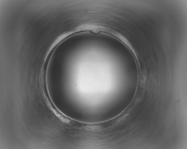X0000081601053200701151334