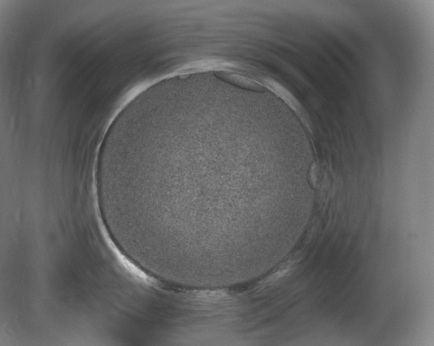 X0000081601055200701151334