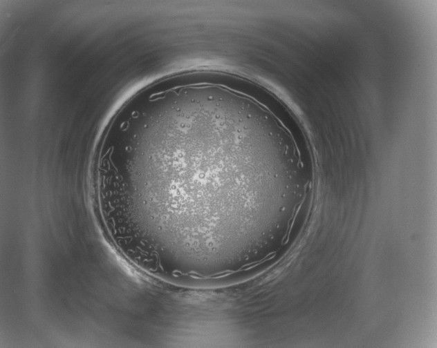 X0000081601056200701151334