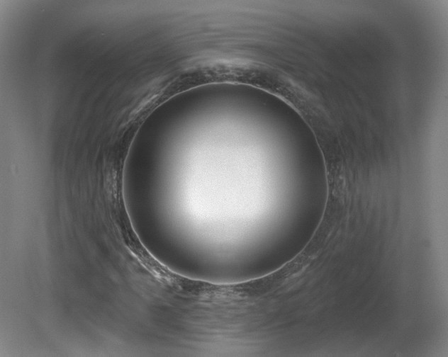 X0000081601061200701151333