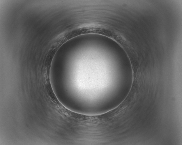 X0000081601062200701151333