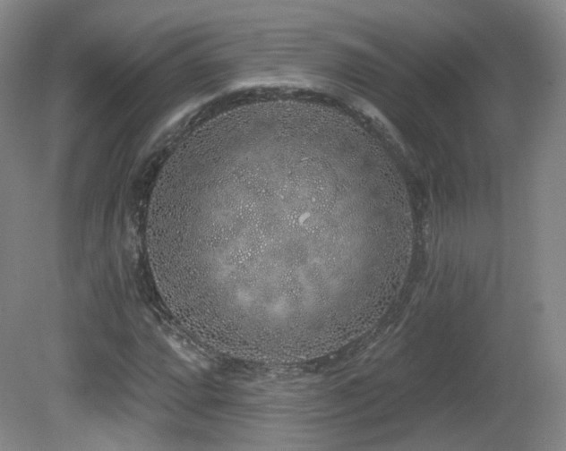 X0000081601064200701151333