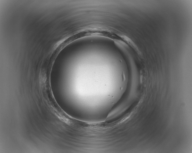 X0000081601065200701151333