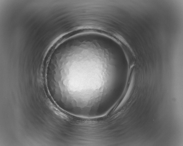 X0000081601068200701151333
