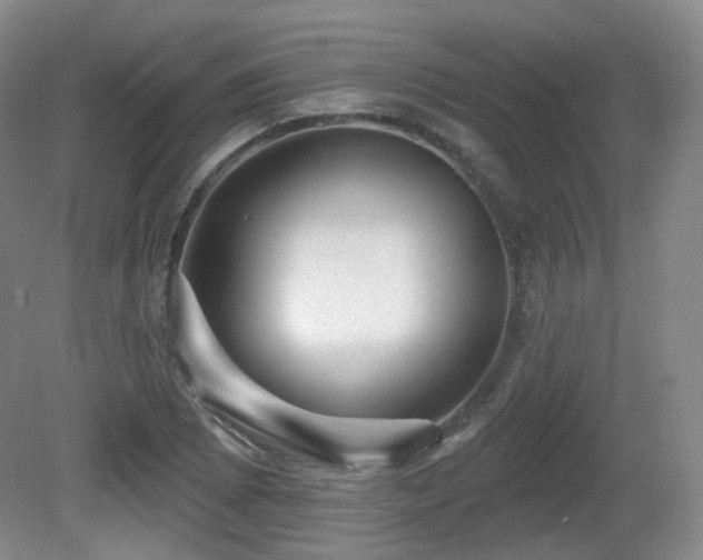 X0000081601073200701151333