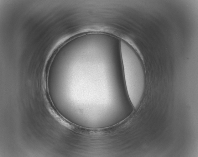 X0000081601080200701151333