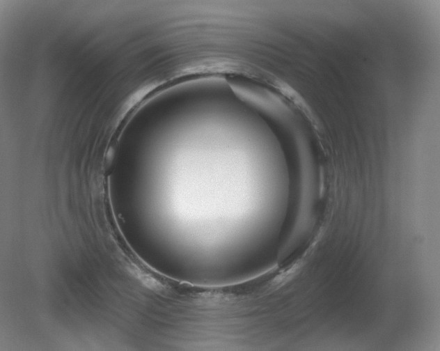 X0000081601081200701151333