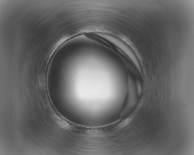 X0000081601089200701151333