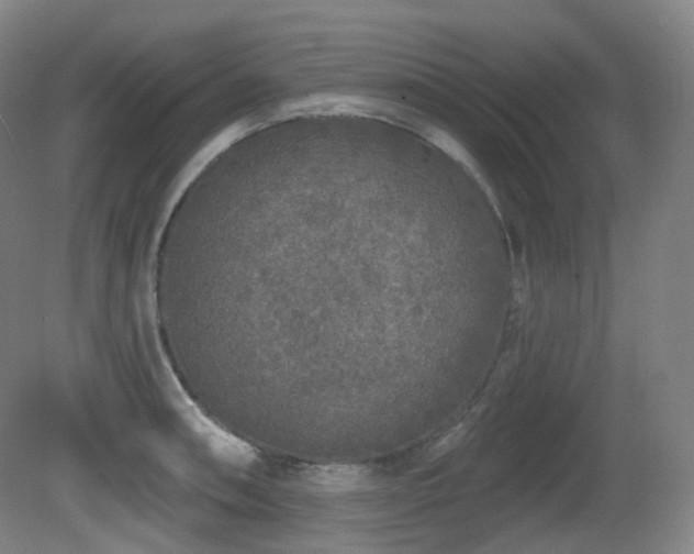 X0000081601090200701151333