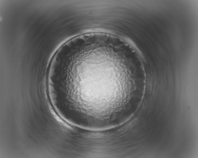 X0000081601100200701151332