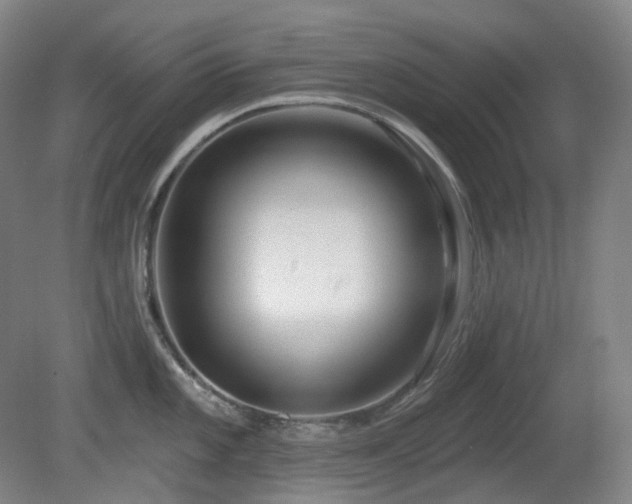 X0000081601101200701151332