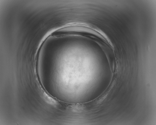 X0000081601102200701151332