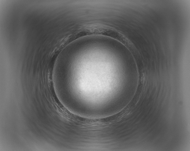 X0000081601108200701151332