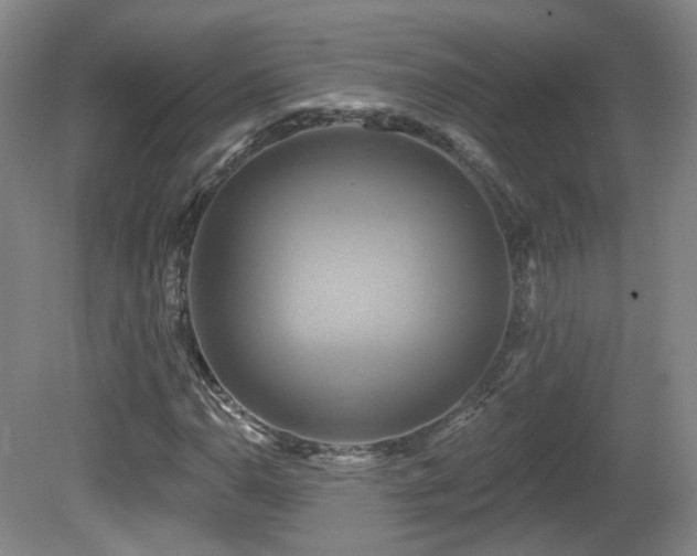 X0000081601110200701151332