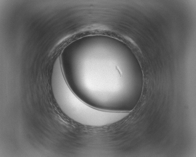 X0000081601112200701151332